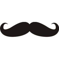 Stickere auto Mustache ManiaStiker
