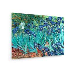 Tablou pe panza (canvas) - Vincent Van Gogh - Irises - 1889 AEU4-KM-CANVAS-1486