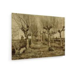 Tablou pe panza (canvas) - Vincent Van Gogh - Pollard Birches - Drawing AEU4-KM-CANVAS-593