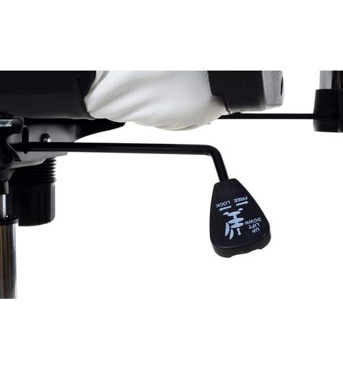 Scaun gaming de birou, cu perna suport lombar si cervical, reglabil, rotativ, culoare negru/alb
