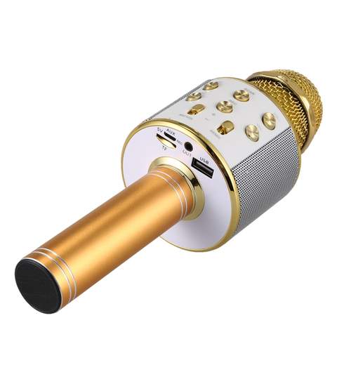 Microfon Wireless, Bluetooth cu Difuzor si Efecte pentru Karaoke, USB, AUX, MicroSD, Negru