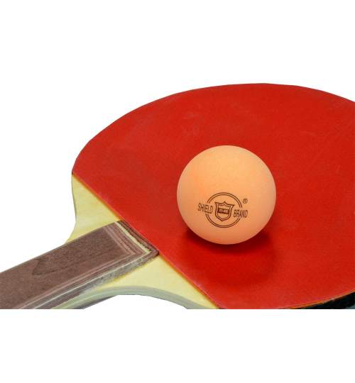 Set 6 Mingi pentru Tenis de Masa Shield 101, 40mm, culoare Portocaliu