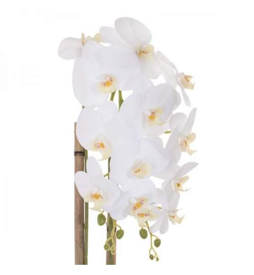 Aranjament Floral Orhidee Artificiala in Ghiveci cu 2 Tulpini, Aspect Natural, inaltime 70 cm, Culoare Alb