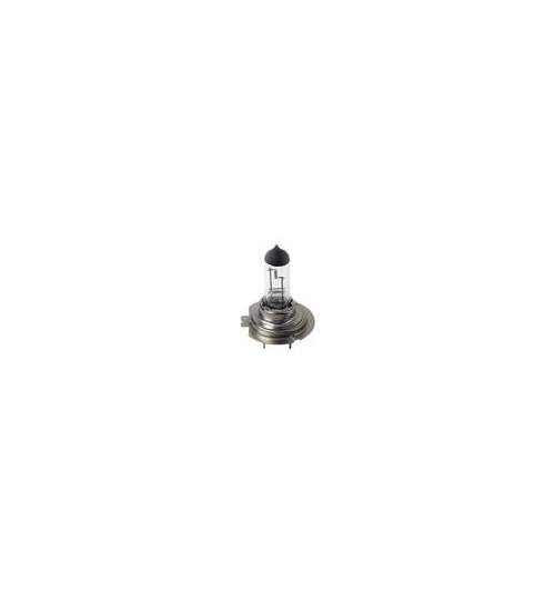Bec halogen 24V - H7 - 70W - PX26d 1buc Lampa - Blister ManiaMall Cars