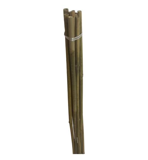 Set 10 araci din bambus Strend Pro KBT 1500/16-18 mm FMG-SK-2210163