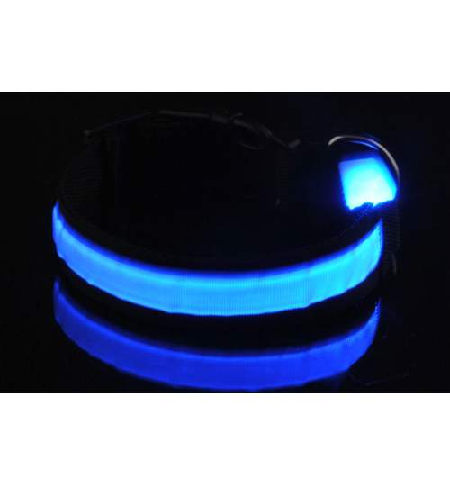 Zgarda pentru Caini Reglabila cu Lumini LED, Marime M, culoare Albastru