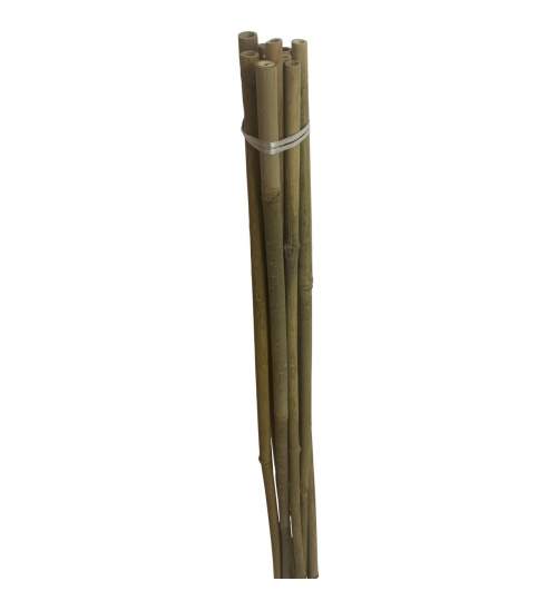 Set 10 araci din bambus Strend Pro KBT 1200/10-12 mm FMG-SK-2210177