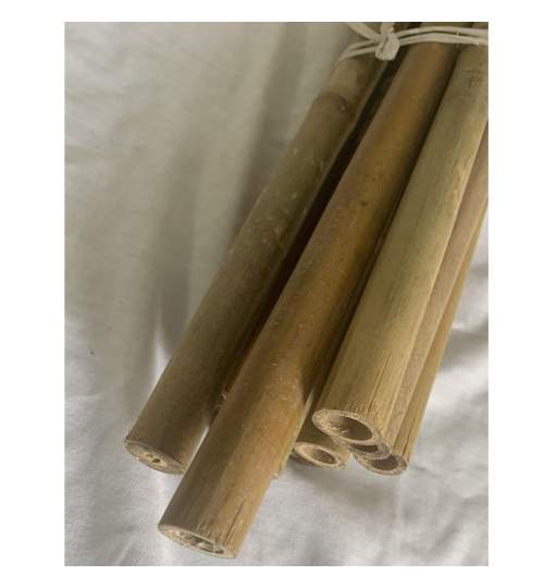 Suport/arac pentru plante, rosii, Strend Pro, bambus, set 10 buc, 1.2-1.4x120 cm MART-2210142