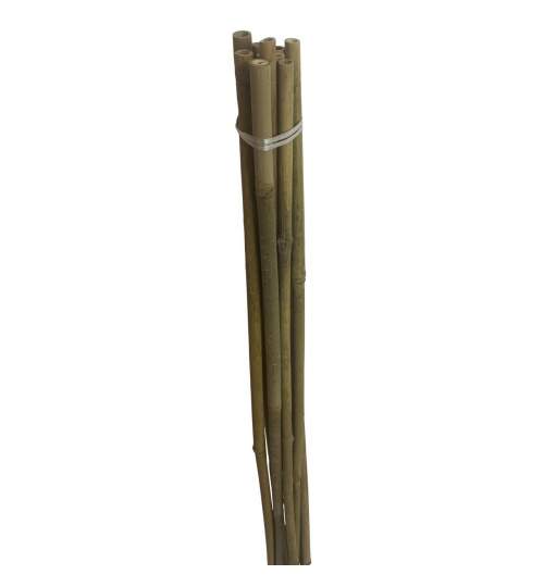 Set 10 araci din bambus Strend Pro Premium, lungime 2100mm, diametru 14-16 mm FMG-SK-2210270-1