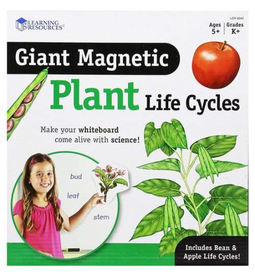 Ciclul vietii plantei - set magnetic MART-EDC-138198