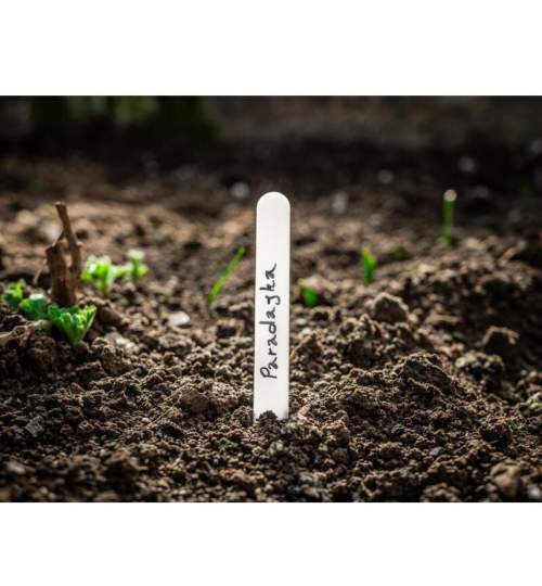 Set 30 etichete pentru marcajul plantelor Strend Pro Gardens, plastic FMG-SK-2212461