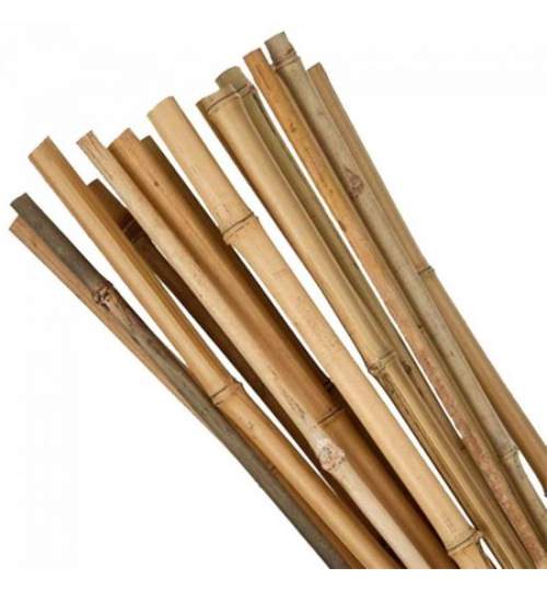 Suport/arac pentru plante, rosii, bambus, set 10 buc, 1.6x180 cm, Strend Pro MART-2210159