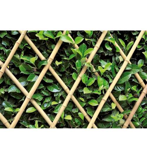 Gard extensibil din bambus, 16/18 mm, 200x200 cm MART-BAM3274