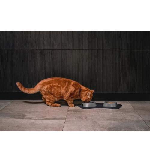 Castron, bol, pentru caine, pisica, suporti antiderapanti, PET reciclat, gri deschis, marime S, 200 ml, 13x13x3.6 cm MART-007-003