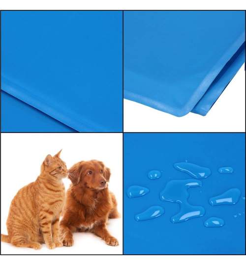 Covoras cu efect de racire pentru caine/pisica, impermeabil, albastru, marime L, 50x40 cm, Springos MART-PA2004
