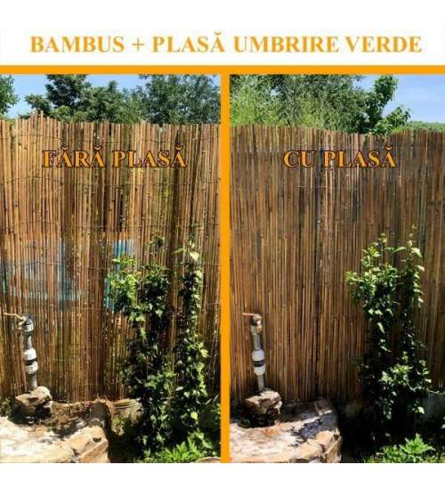 Gard/paravan din bambus natural, 5x1.5 m + cadou sarma zincata MART-320107