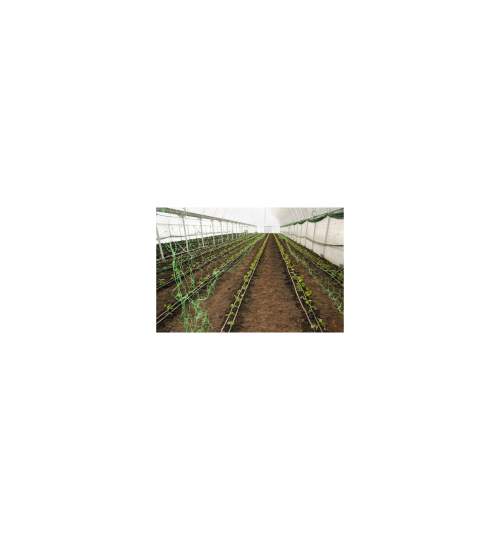 Plasa pvc, pentru urcarea plantelor in cultura castravetilor, 2x5 m MART-2210353