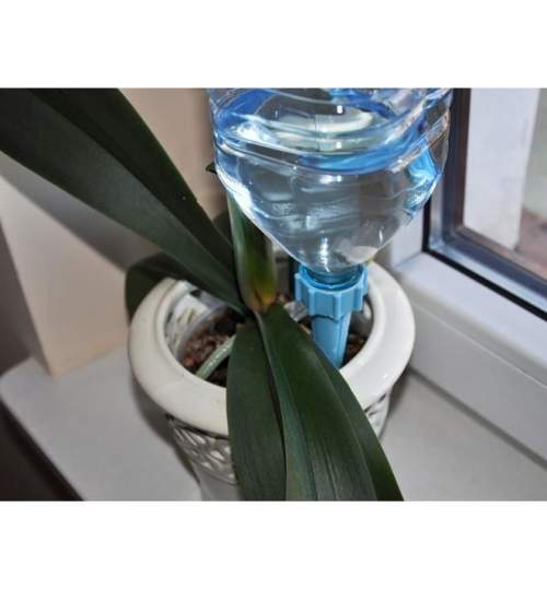 Dispozitiv de udare a plantelor, auto-irigare cu sticle pet, albastru, 3x13.5 cm MART-00001849-IS
