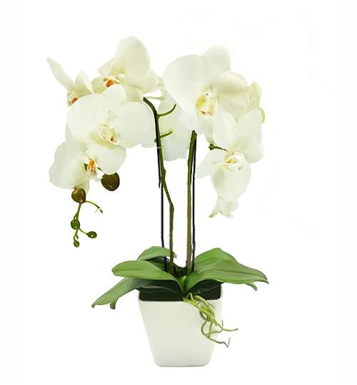 Aranjament Floral Orhidee Artificiala in Ghiveci cu 2 Tulpini, Aspect Natural, Culoare Alb