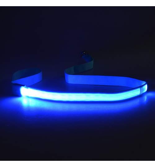 Lesa Fosforescenta cu 3 Moduri de Iluminare pentru Caini sau Pisici, Lungime 125cm, Culoare Albastru