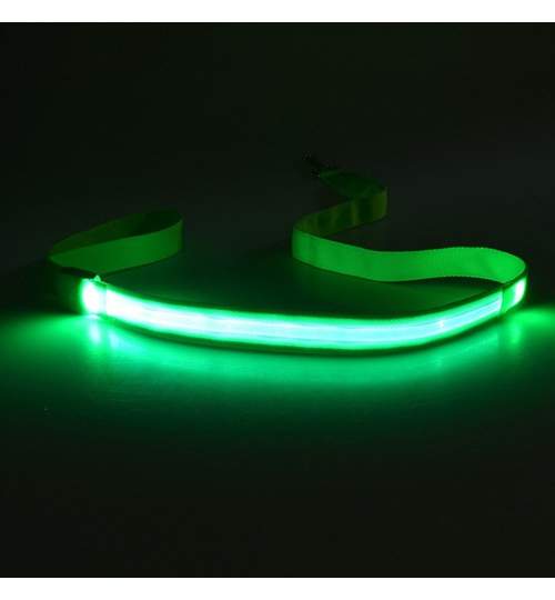 Lesa Fosforescenta cu 3 Moduri de Iluminare pentru Caini sau Pisici, Lungime 125cm, Culoare Verde