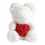 Ursulet Floral DeLuxe Alb cu Inimioara Rosie 25 cm + cutie de cadou ManiaMagic