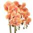 Aranjament Floral Orhidee Artificiala in Ghiveci cu 2 Tulpini, Aspect Natural,  inaltime 55cm, Culoare Portocaliu