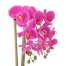 Aranjament Floral Orhidee Artificiala in Ghiveci cu 2 Tulpini, Aspect Natural,  inaltime 55cm, Culoare Roz