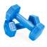 Set 2 Gantere pentru fitness sau antrenament, din cauciuc, 2x0.5 kg, culoare albastru