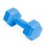 Set 2 Gantere pentru fitness sau antrenament, din cauciuc, 2x1 kg, culoare albastru