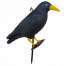 Corb Cioara Artificiala Decorativa, Sperietoare de Porumbei, pentru Alungarea Pasarilor Nedorite, 39x11 cm