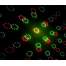 Proiector lumini laser MAGIC X-232, Diverse Functii, culori rosu si verde