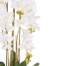 Aranjament Floral Orhidee Artificiala in Ghiveci cu 5 Tulpini, Aspect Natural,  inaltime 105cm, Culoare Alb