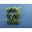 Set 12 ghivece decorative de flori, modular, antracit, 12x0.75 L, 67x17.7x57 cm, Cascade Wall MART-IO2W600W