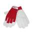 Mănuși de protecție din piele de porc pe palme, Dedra Rosu, marimea XL FMG-BH1010R10R