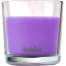Lumanare parfumata Bolsius Jar True Scents 63/90 mm, Lavanda FMG-SK-2171626
