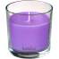 Lumanare parfumata Bolsius Jar True Scents 63/90 mm, Lavanda FMG-SK-2171626