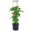Ghiveci decorativ pentru rosii, rotund, antracit, 39.2x31.5x153 cm, Tomato Grower MART-IPOM400-S433