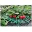 Set 5 suporturi pentru capsuni si flori, Strend Pro Garden, diametru 30 cm, Verde FMG-SK-2171471