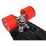 Placa Skateboard pentru Copii, Lungime 56cm, Capacitate 60kg, Culoare Negru