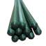 Suport/arac pentru plante, rosii, Strend Pro, metal + PVC, verde, 2x120 cm MART-211888