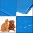 Covoras cu efect de racire pentru caine/pisica, impermeabil, albastru, marime M, 40x30 cm, Springos MART-PA2003