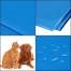 Covoras cu efect de racire pentru caine/pisica, impermeabil, albastru, marime XXL, 90x50 cm, Springos MART-PA2006