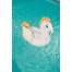 Saltea de apa gonflabila pentru copii, model pegasus, 159x109 cm, Bestway Maxi  MART-8050105