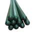 Suport/arac pentru plante, rosii, set 20 buc, metal + PVC, verde, 0.8x75 cm, Strend Pro MART-211779-20