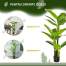 Planta bananier artificiala cu ghiveci, verde, 150 cm MART-AR129562